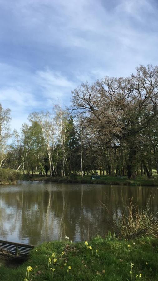 Le Gite Du Petit Renard: A Tranquil Gite With Pool Oradour-Saint-Genest Bagian luar foto