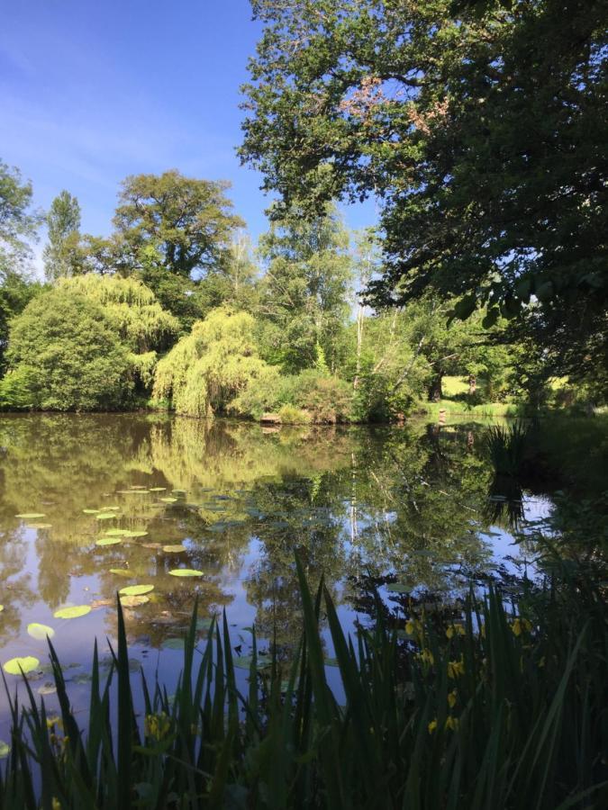 Le Gite Du Petit Renard: A Tranquil Gite With Pool Oradour-Saint-Genest Bagian luar foto