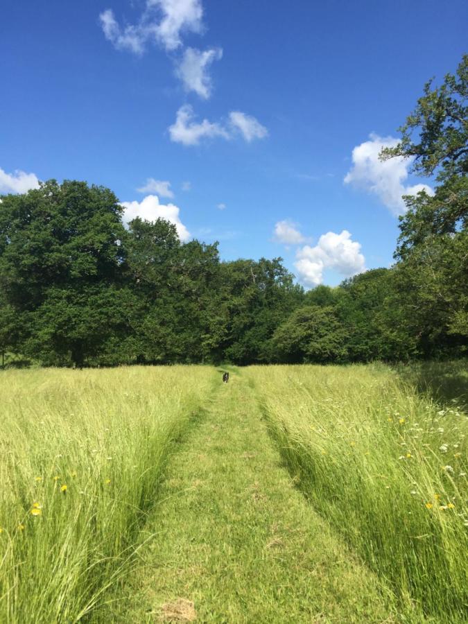 Le Gite Du Petit Renard: A Tranquil Gite With Pool Oradour-Saint-Genest Bagian luar foto